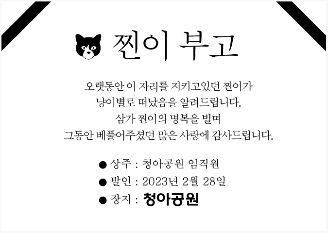 이미지입니다.